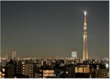 VL分类=view, confidence=0.95, search=True, size=425x307, 城市夜景眺望