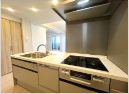 VL分类=kitchen, confidence=0.95, search=True, size=425x308, 厨房区域清晰
