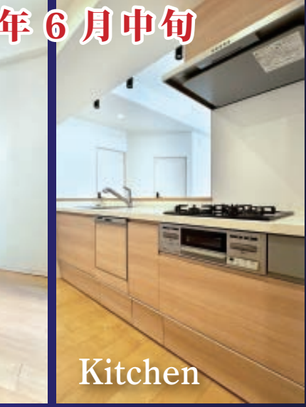 VL分类=kitchen, confidence=0.95, search=True, size=430x572, 厨房区域清晰