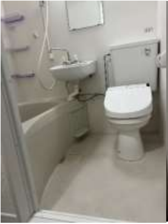 VL分类=bath, confidence=0.95, search=True, size=563x748, 浴室内部清晰