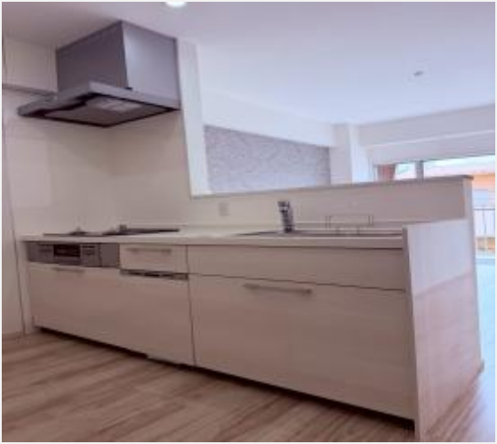 VL分类=kitchen, confidence=0.95, search=True, size=559x499, 厨房内部设施清晰可见