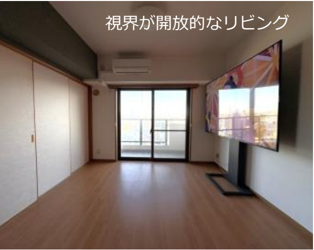 VL分类=living, confidence=0.95, search=True, size=624x497, 客厅区域包含电视和大窗户