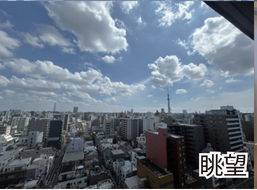 VL分类=view, confidence=0.95, search=True, size=517x382, 城市景观包含东京塔，属于眺望