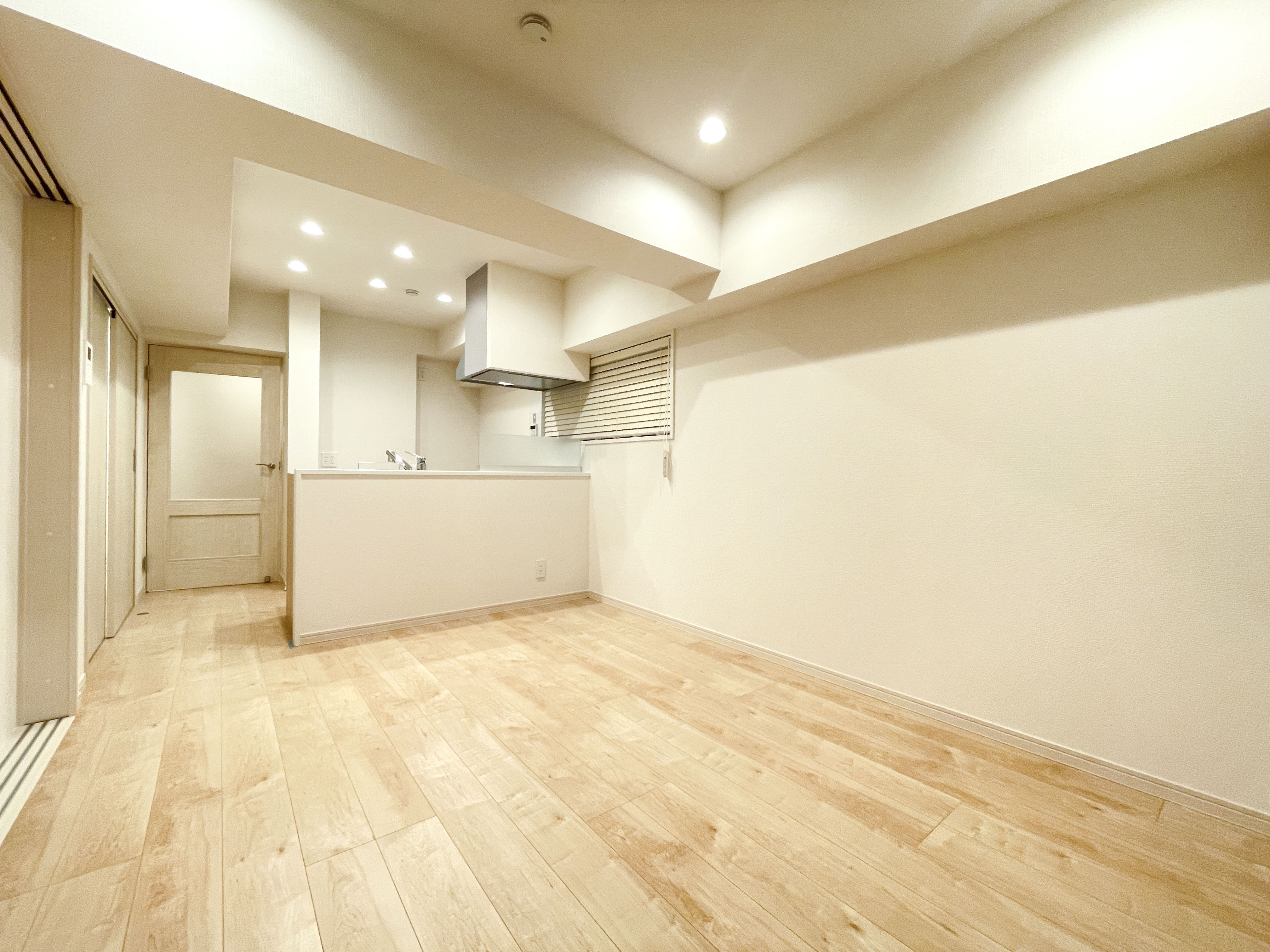 マンション西浅草 201 号室のリビング・LDK 全体を撮影した室内写真