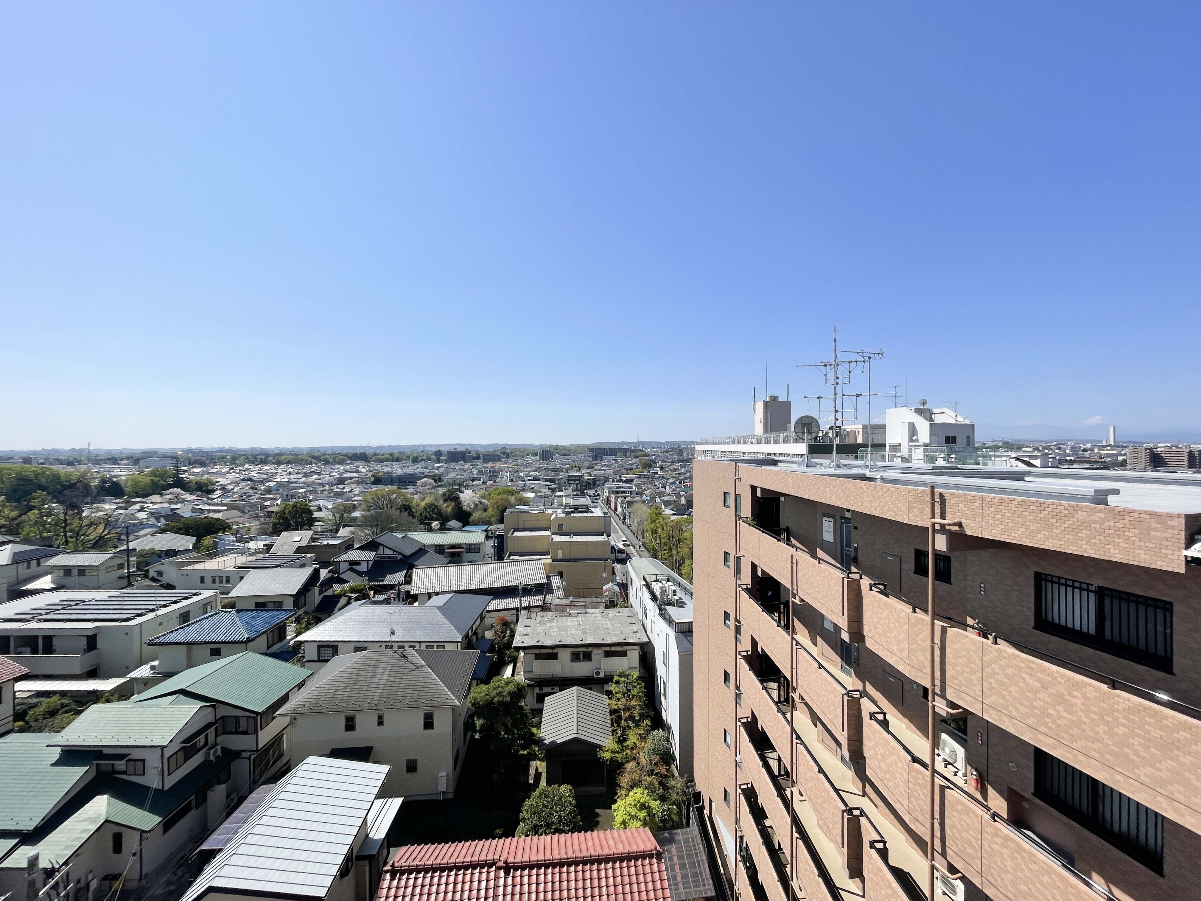周辺環境:住宅街や道路を含む周辺の環境を捉えた写真