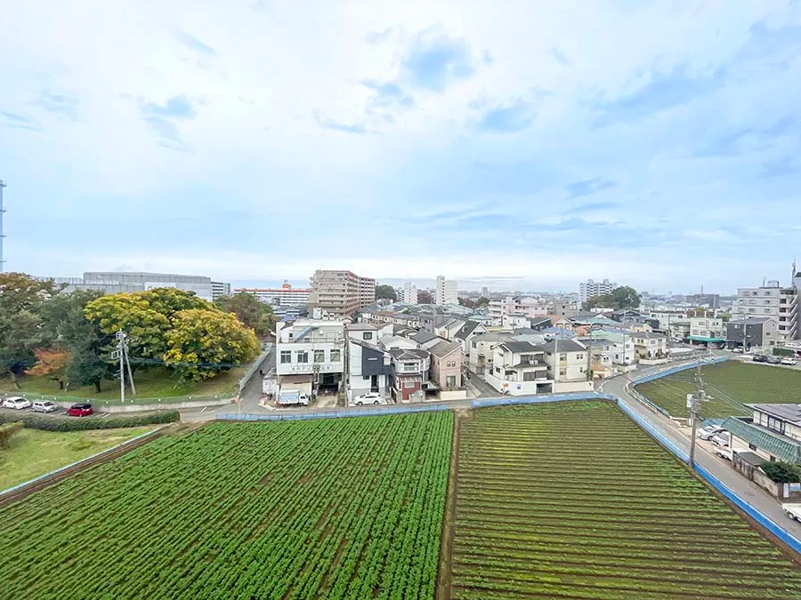 住宅周辺の田園地帯と道路、他の建物を含む広範囲の風景