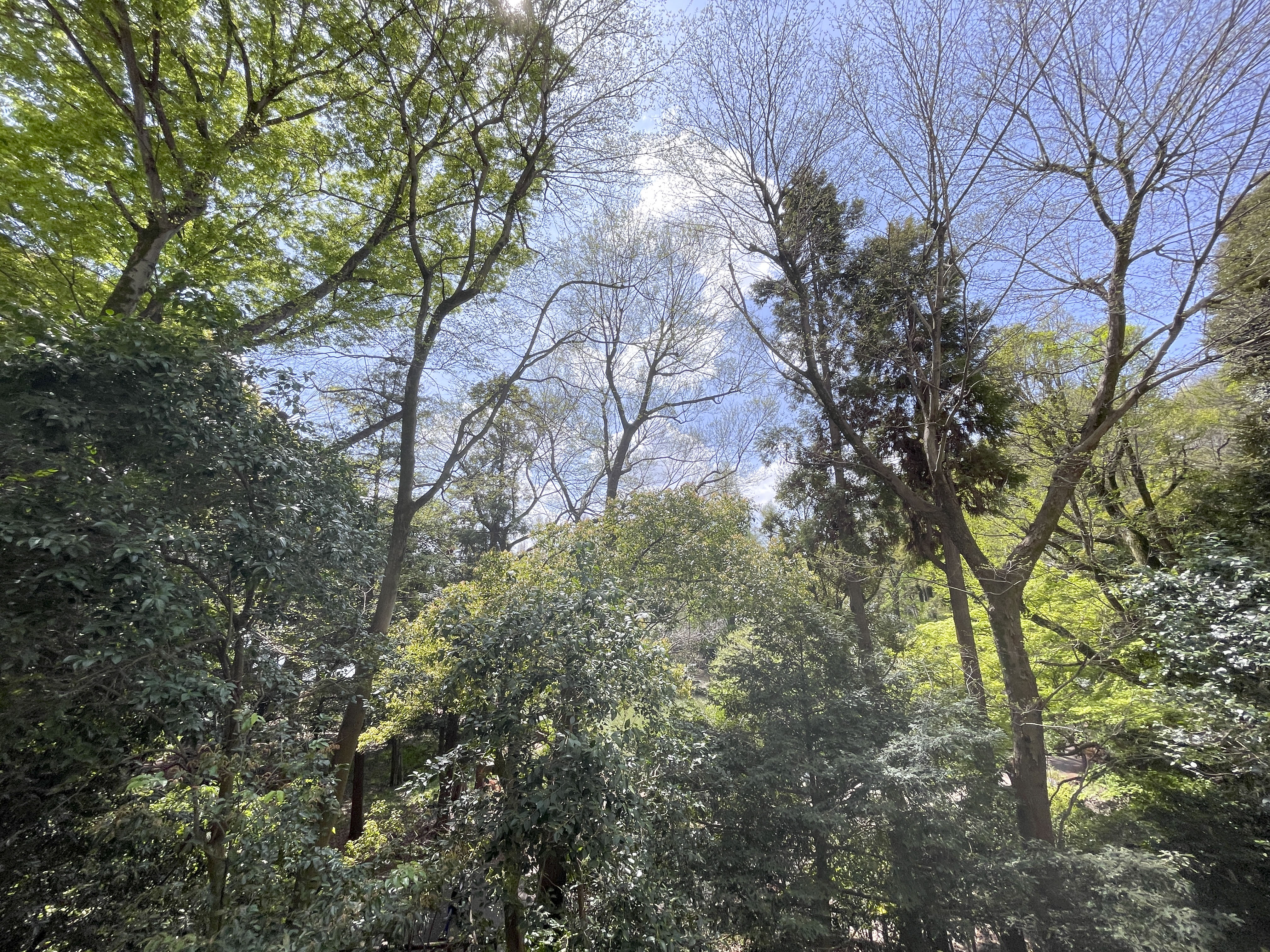 窓やバルコニーからの自然景観が主体の写真