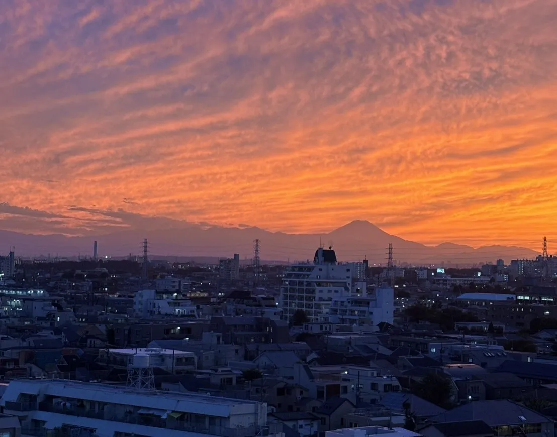 1203 号室からの眺望景色