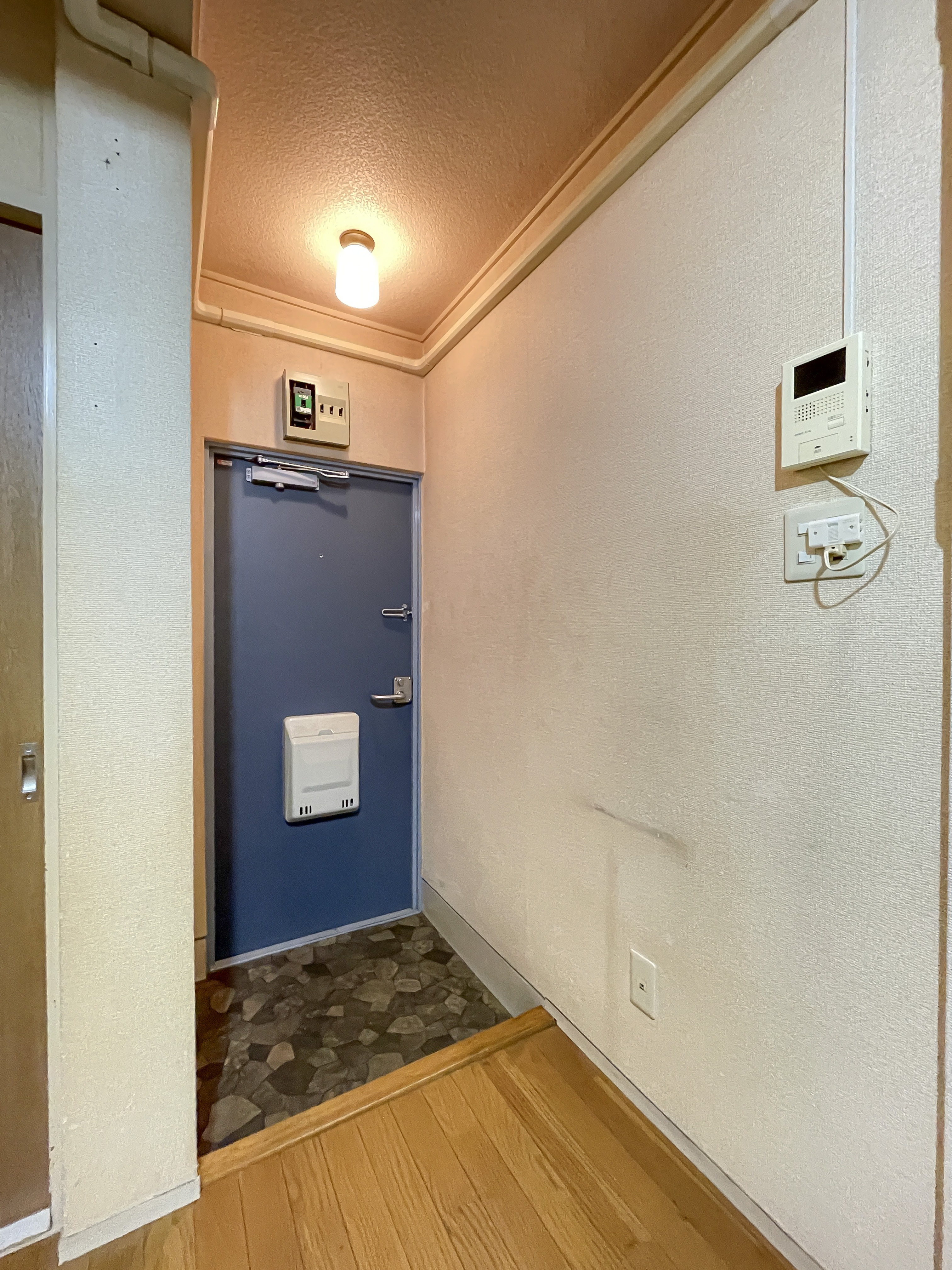 玄関ホールとドアが主体の室内写真