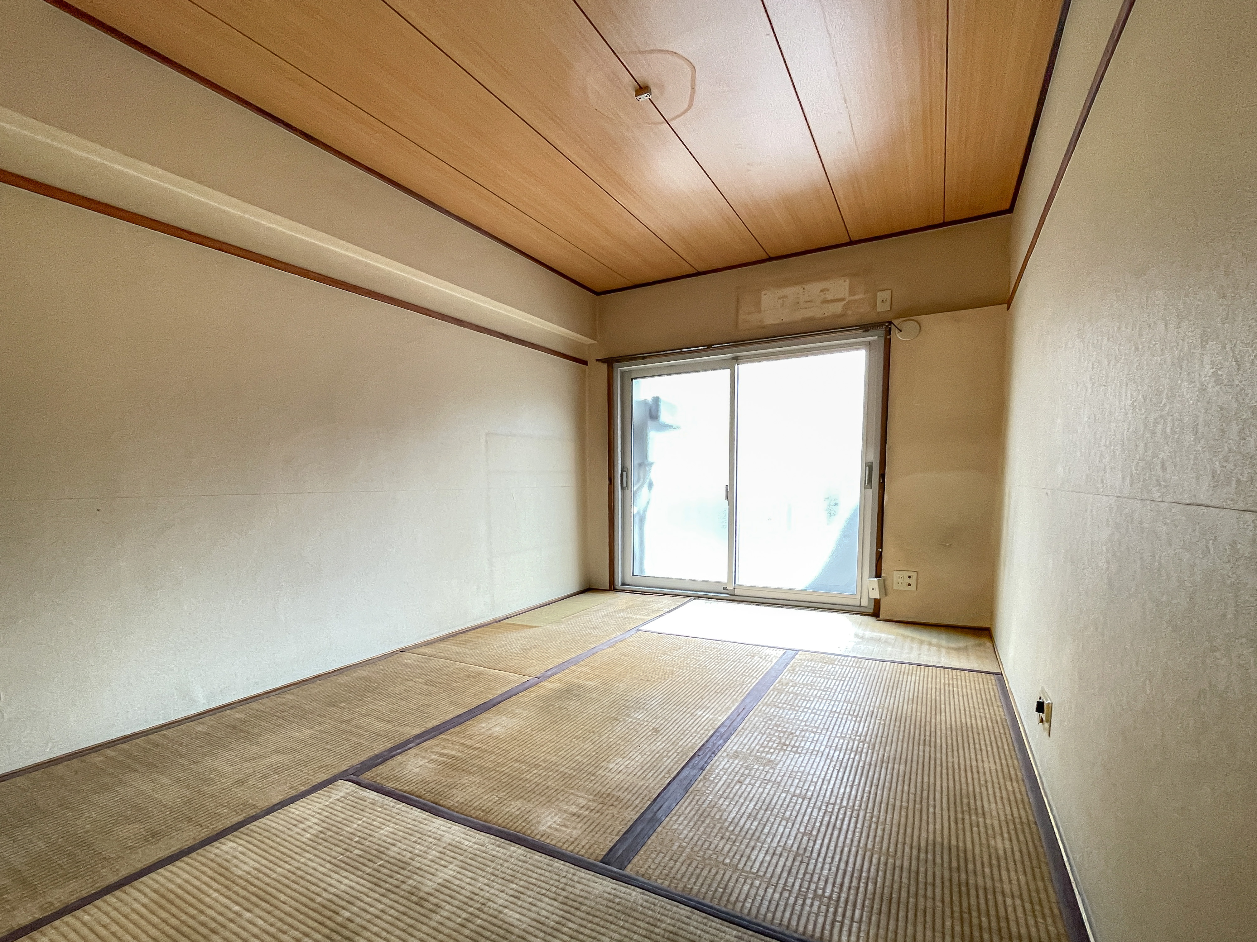 畳が敷かれた和室の室内写真