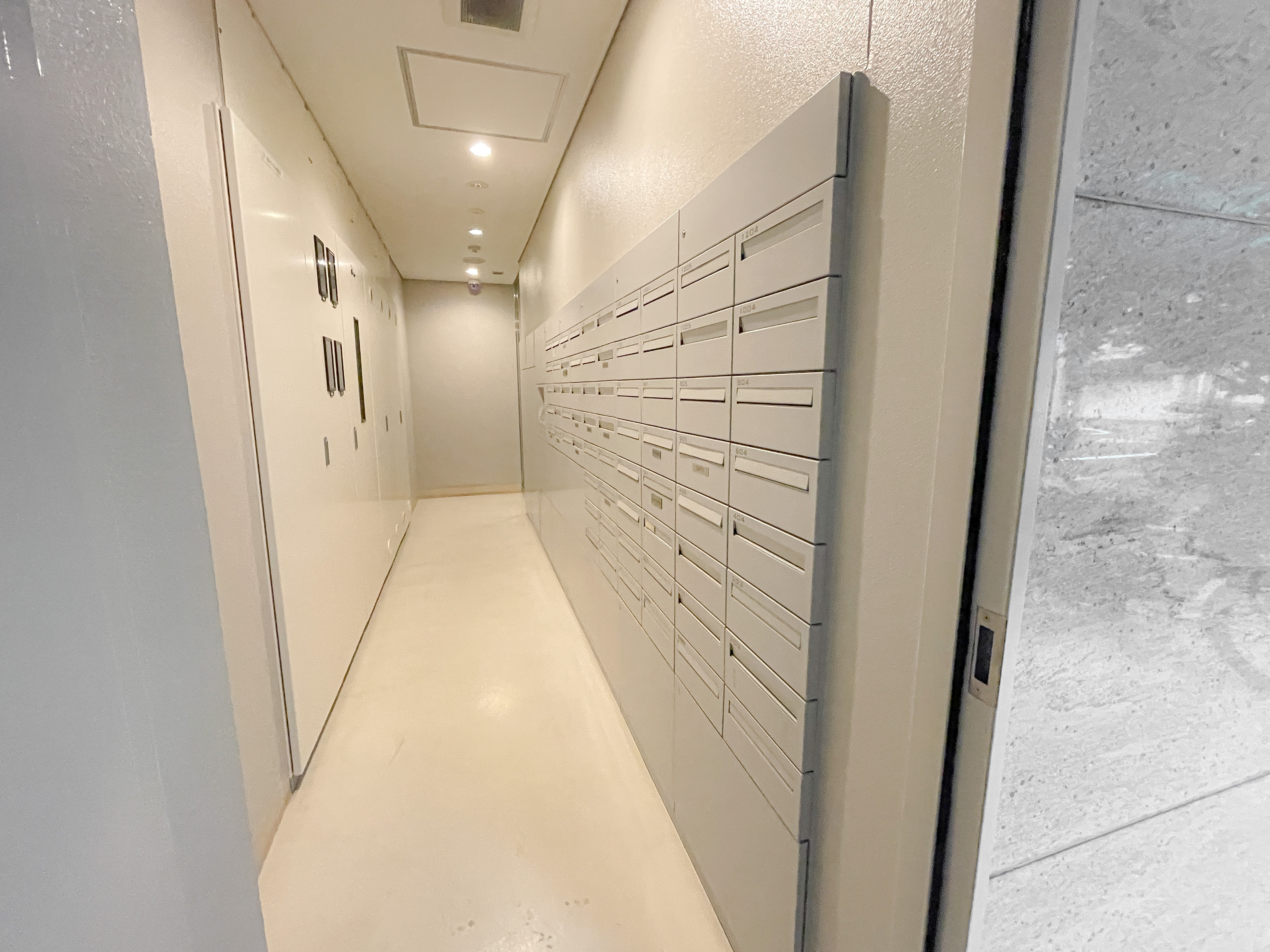 廊下と郵便受けが配置された共用部分の写真
